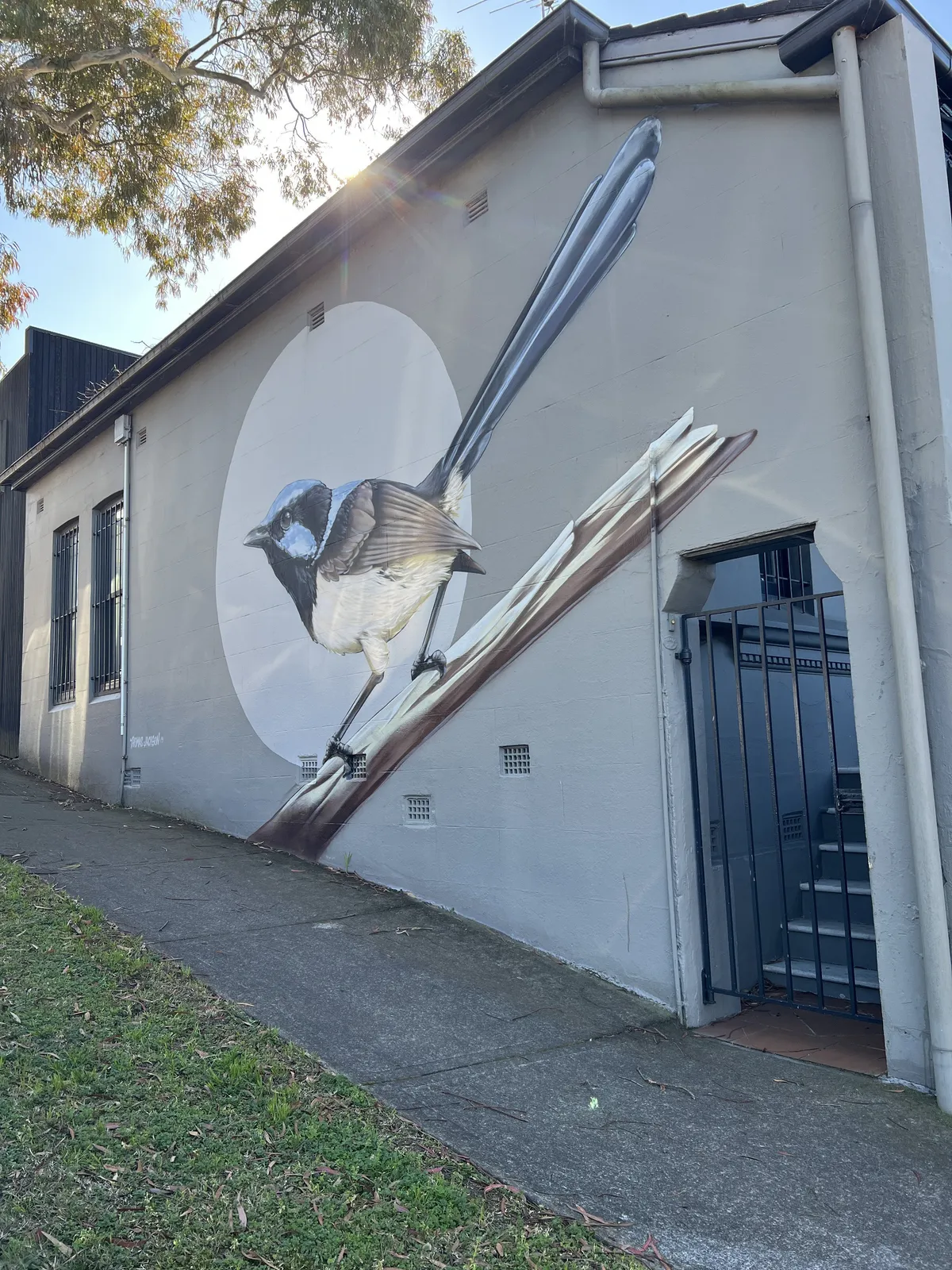 Painted wren mural on the side wall of a house in an Annandale back lane